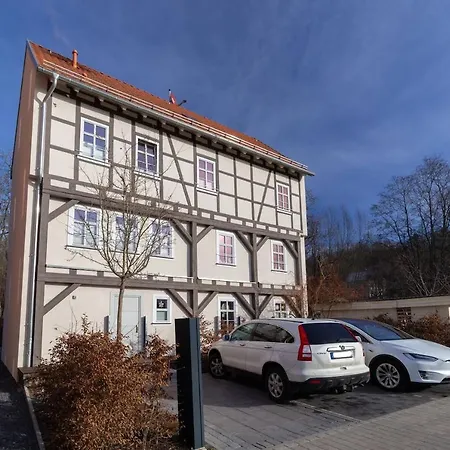 Bachstelze Erfurt
