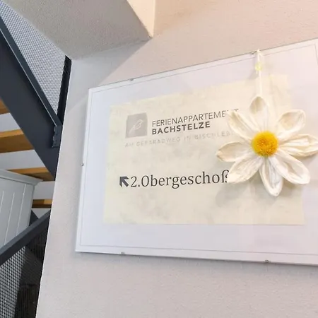 Bachstelze Ερφούρτη